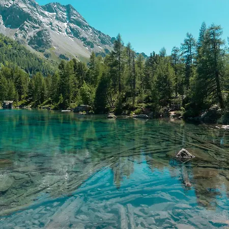 Sunny, Rustical 5 In Valposchiavo 度假居