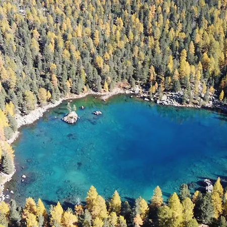 Sunny, Rustical 5 In Valposchiavo 度假居 波斯基亚沃