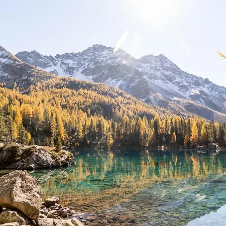 Sunny, Rustical 5 In Valposchiavo Holiday home *