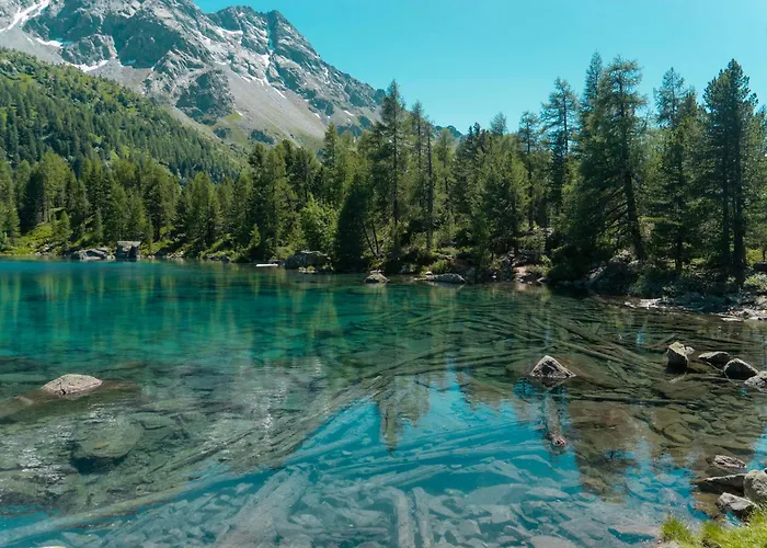 Sunny, Rustical 5 In Valposchiavo بيت للعطل